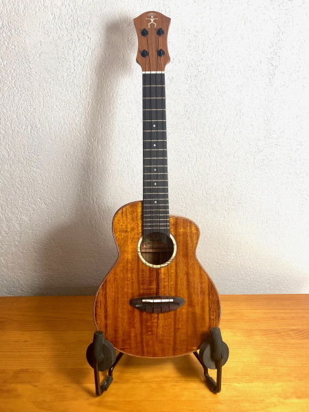 Bird 1K Konzert Koa