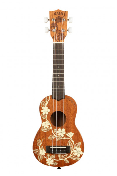Gardenia Mahogany Sopran