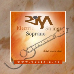 RISA-Electric-Stahl-Saiten
